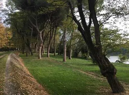 Mansarda Apartment Tirrenia