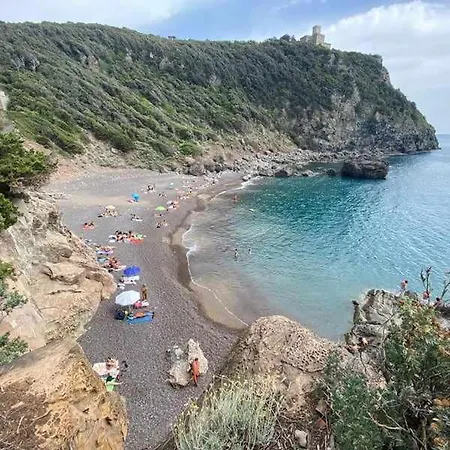 Mansarda *